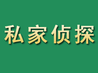 天等市私家正规侦探